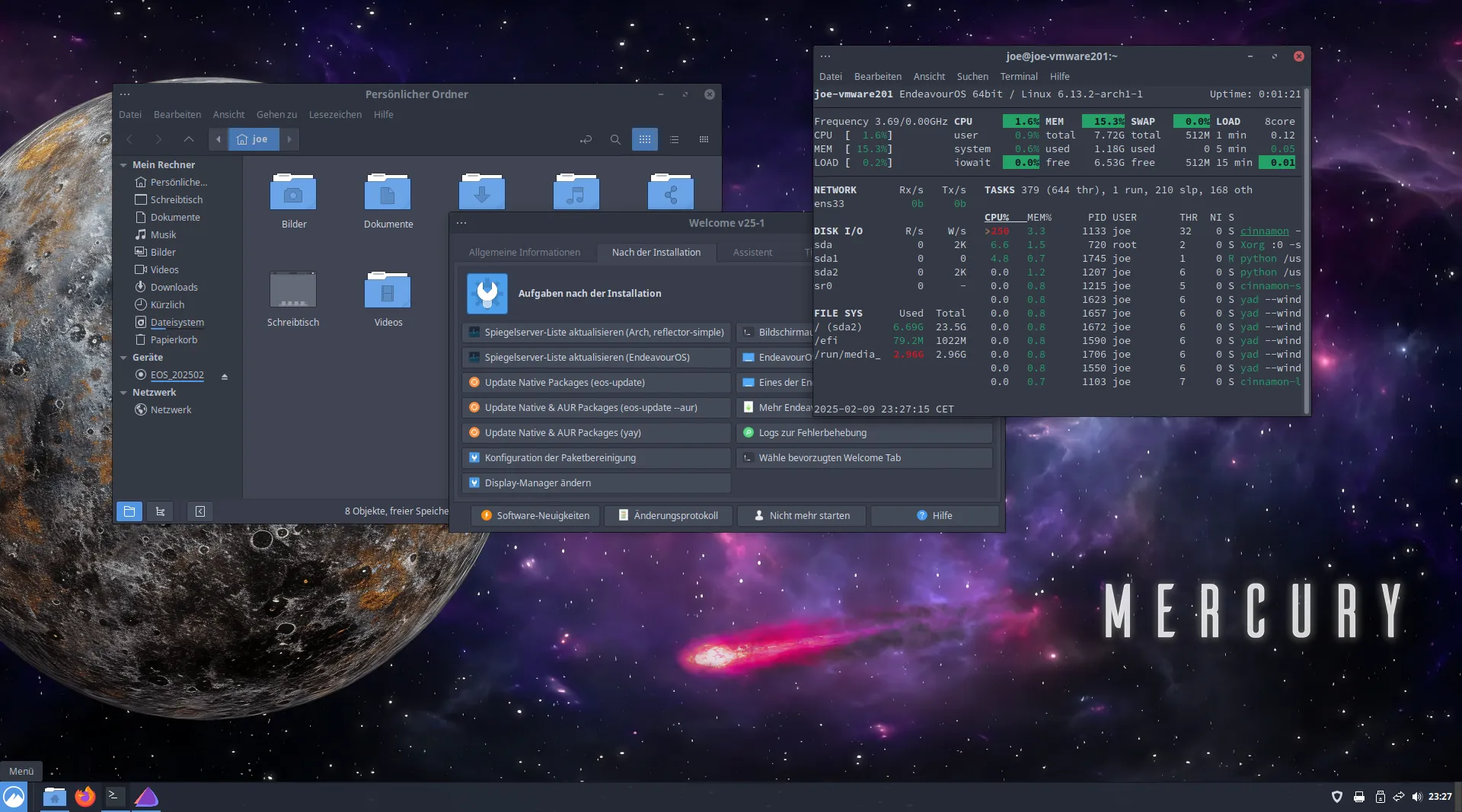 EndeavourOS running Cinnamon